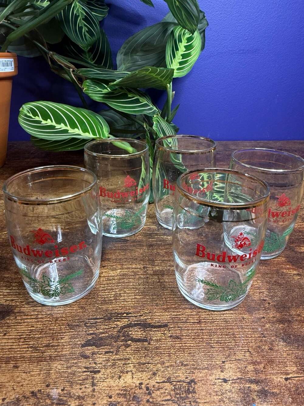 Set of 5 Vintage Budweiser King of Beers Gold Rim Beer Glasses